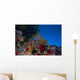 Soft Corals and Gorgonian Wall Decal