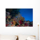Soft Corals and Gorgonian Wall Decal