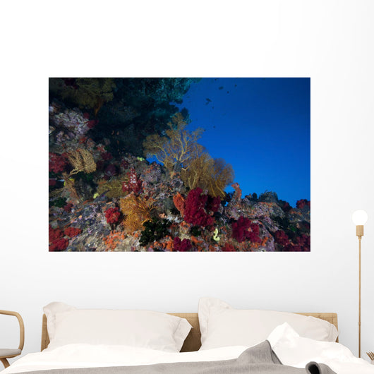 Soft Corals and Gorgonian Wall Decal