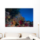 Soft Corals and Gorgonian Wall Decal