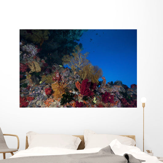 Soft Corals and Gorgonian Wall Decal