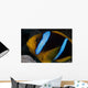 Orange-fin Anemonefish Its Host Wall Decal