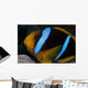 Orange-fin Anemonefish Its Host Wall Decal