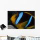 Orange-fin Anemonefish Its Host Wall Decal