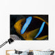 Orange-fin Anemonefish Its Host Wall Decal