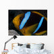 Orange-fin Anemonefish Its Host Wall Decal