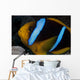 Orange-fin Anemonefish Its Host Wall Decal