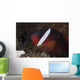 Tomato Clownfish Its Host Close-up Wall Decal