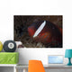 Tomato Clownfish Its Host Close-up Wall Decal