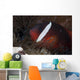 Tomato Clownfish Its Host Close-up Wall Decal
