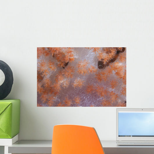 Orange Tree Coral Fijian Wall Decal