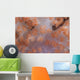 Orange Tree Coral Fijian Wall Decal