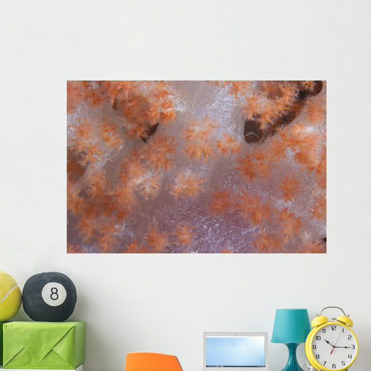 Orange Tree Coral Fijian Wall Decal