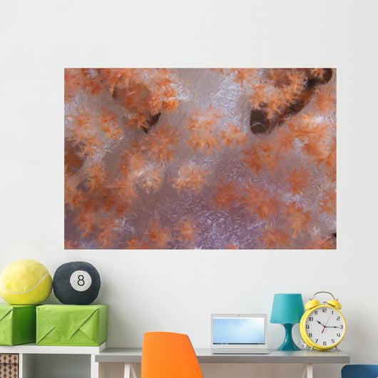 Orange Tree Coral Fijian Wall Decal