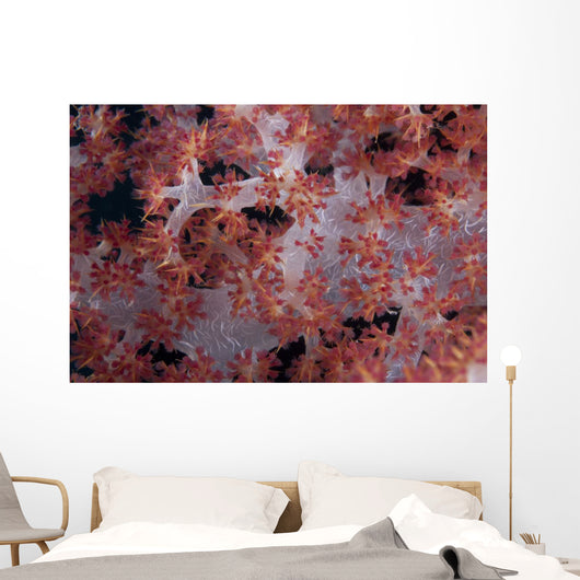 Red Tree Coral Fijian Angled Wall Decal