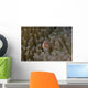 Pink Anemonefish Its Host Distant Wall Decal