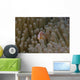 Pink Anemonefish Its Host Distant Wall Decal
