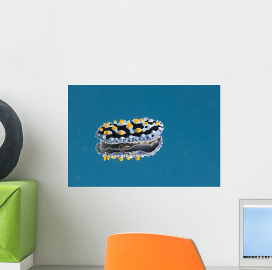 Phyllidia Coelestis Nudibranch Blue Light Wall Decal