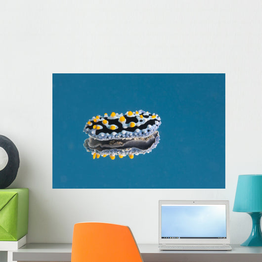 Phyllidia Coelestis Nudibranch Blue Light Wall Decal