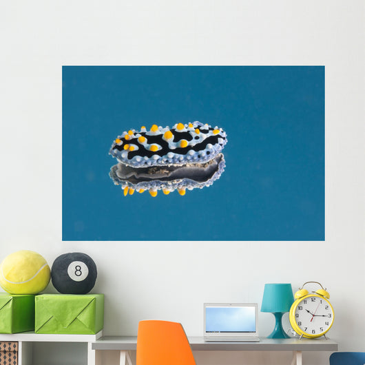 Phyllidia Coelestis Nudibranch Blue Light Wall Decal