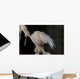 Cup Coral Polyps Hang Closed Wall Decal