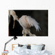 Cup Coral Polyps Hang Closed Wall Decal