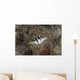 Mimic Filefish Beqa Lagoon Wall Decal