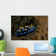 Phyllidia Coelestis Nudibranch Beqa Down Wall Decal