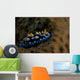 Phyllidia Coelestis Nudibranch Beqa Down Wall Decal
