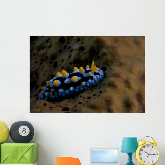 Phyllidia Coelestis Nudibranch Beqa Down Wall Decal
