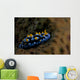 Phyllidia Coelestis Nudibranch Beqa Down Wall Decal