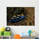 Phyllidia Coelestis Nudibranch Beqa Down Wall Decal
