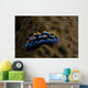 Phyllidia Coelestis Nudibranch Beqa Wall Decal