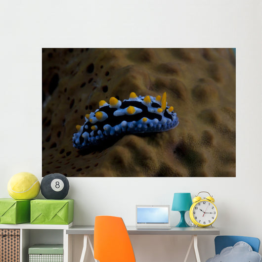 Phyllidia Coelestis Nudibranch Beqa Wall Decal