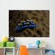 Phyllidia Coelestis Nudibranch Beqa Wall Decal