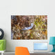 Chromodoris Lochi Nudibranch Beqa Wall Decal