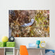 Chromodoris Lochi Nudibranch Beqa Wall Decal