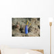 Blue Ribbon Eel Right Wall Decal
