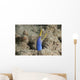 Blue Ribbon Eel Right Wall Decal