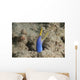 Blue Ribbon Eel Right Wall Decal