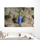 Blue Ribbon Eel Right Wall Decal