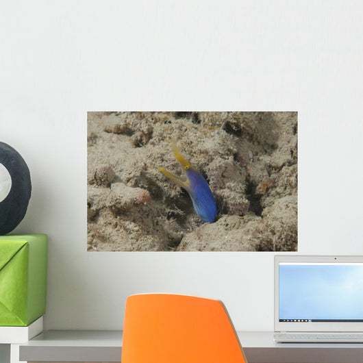 Blue Ribbon Eel Left Wall Decal