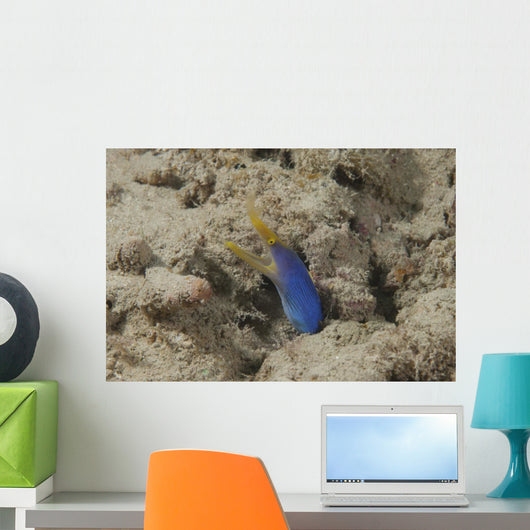 Blue Ribbon Eel Left Wall Decal