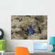 Blue Ribbon Eel Left Wall Decal