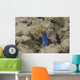 Blue Ribbon Eel Left Wall Decal