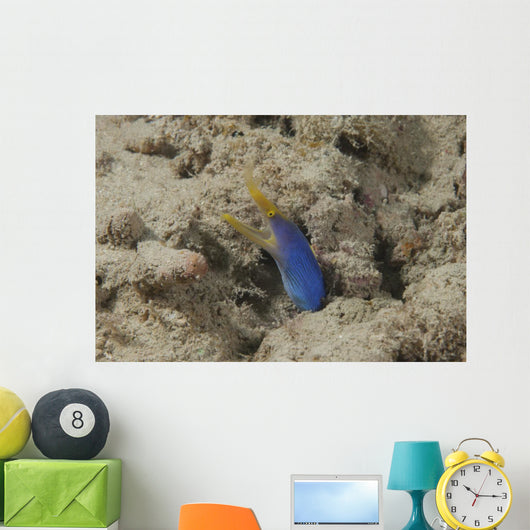 Blue Ribbon Eel Left Wall Decal