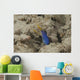 Blue Ribbon Eel Left Wall Decal