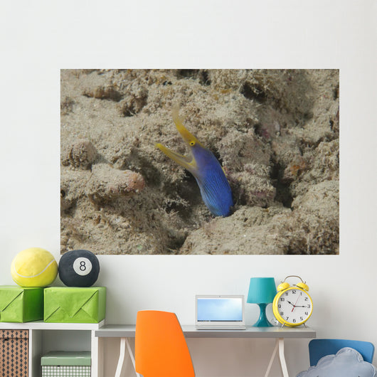 Blue Ribbon Eel Left Wall Decal