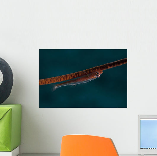 Whip Coral Goby Fiji Upside Down Wall Decal