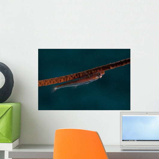 Whip Coral Goby Fiji Upside Down Wall Decal